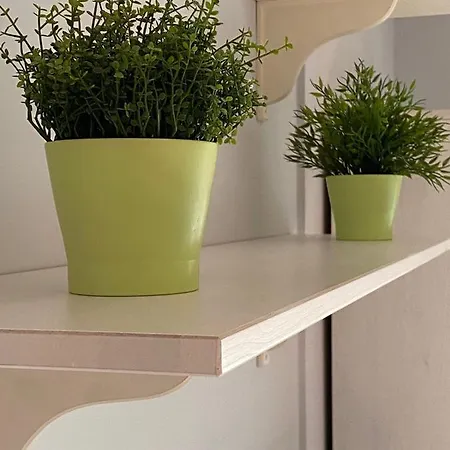 Chinijo Arrecife (Lanzarote)